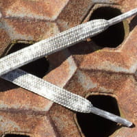 1699-404-0005-001-0_01.tif[2547209]