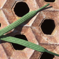 1699-404-0007-007-0_01.tif[2547219]