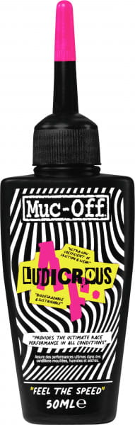 492-039-620533_01.tif[1331333]