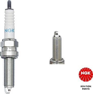 Z105-LMAR7A-9_01.tif[2396887]