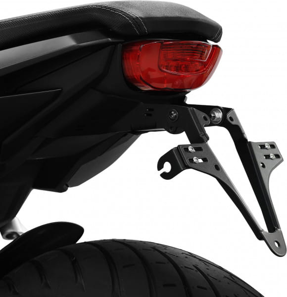 IBEX-10008029_01.tif[2490391]