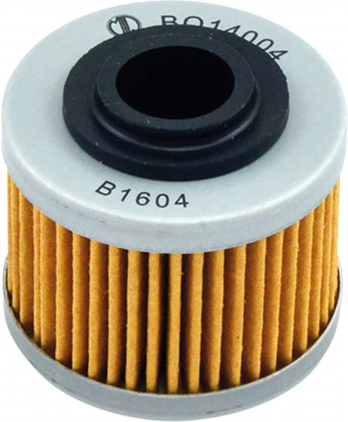 D2908-MIW_BO14004_01.tif[2357271]