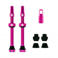 V2 Tubeless Valve Kit 60mm/pink