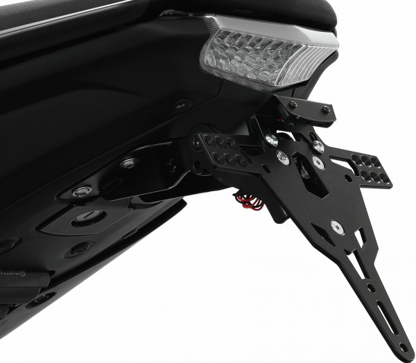 IBEX-10006791_01.tif[1423416]