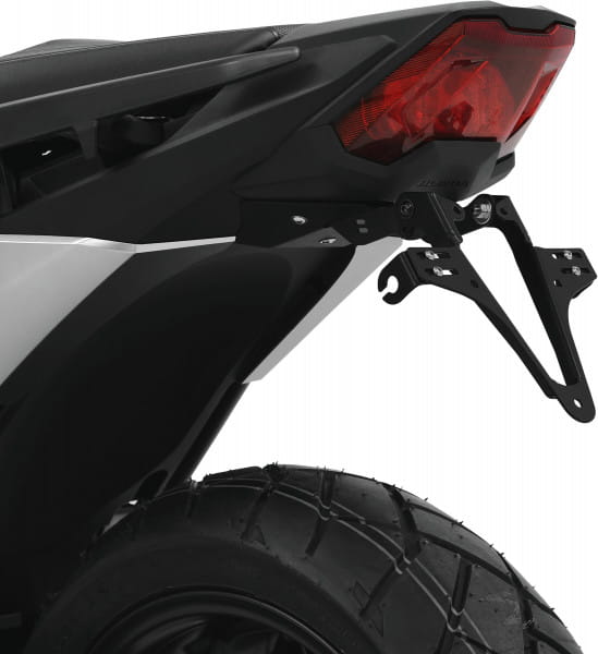 IBEX-10008281_01.tif[2490398]