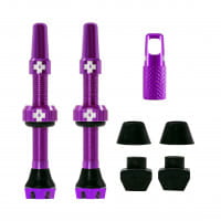 V2 Tubeless Valve Kit 44mm/purple