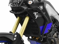 IBEX-10006833_01.tif[1423648]