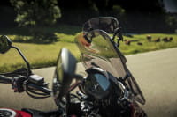 D2020-4025066166572_01.tif[1113607]