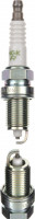 Z105-ZFR5A-11_01.tif[2380644]