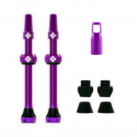 V2 Tubeless Valve Kit 60mm/purple