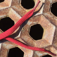 1699-404-0007-002-0_01.tif[2547218]