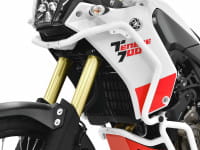 IBEX-10006620_01.tif[1423081]