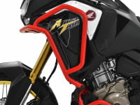 IBEX-10008236_01.tif[1425392]