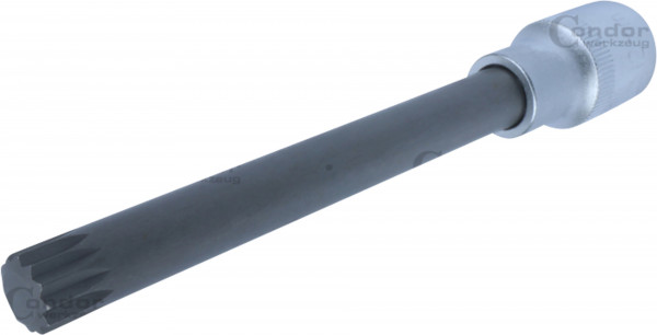 W-C12141-12_01.tif[2194351]