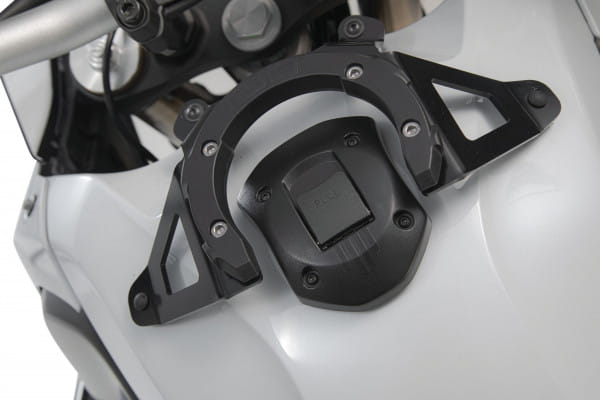 D9387-31700_01.tif[2362102]