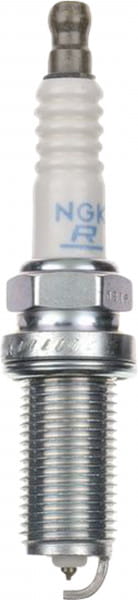 Z105-PLFR5A-11_01.tif[2380636]