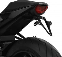 IBEX-10008256_01.tif[2490397]