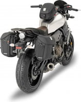 D9324-TMT2126_01.tif[2358817]